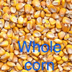 Whole corn
